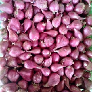 Hành tím Ninh Thuận 500gr