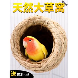 Tổ Đan Rơm Cho Vẹt Cưng