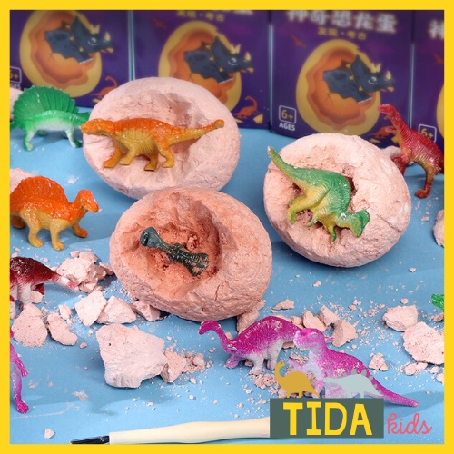 Mô Hình Đồ Chơi Khai Quật Hóa Thạch Trứng Khủng Long Mini Cho Bé, Đồ Chơi Khoa Học Khảo Cổ Dinosaur Egg TiDa Kids Shop