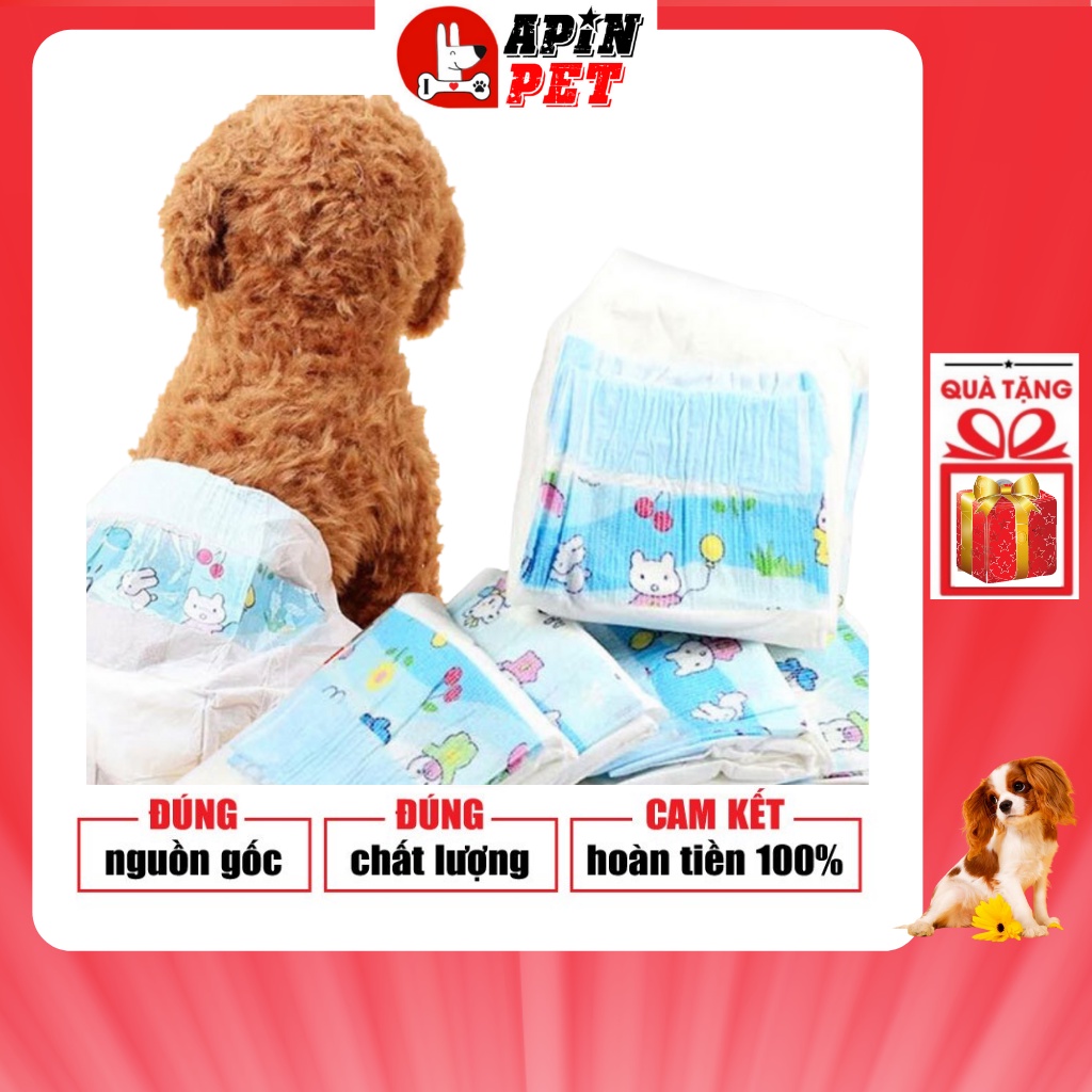 Tả Quần Cho Thú Cưng Chó Đực Cái Miếng lẻ Mềm Mại Thoáng Mát Đủ Size-Apinpet Shop