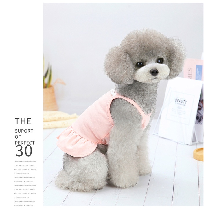 váy đấm hoa cúc cho chó mèo