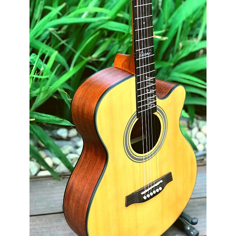 Guitar Acoustic Diana D815NM - Gỗ Bách Tùng Nguyên Tấm -Sol.G