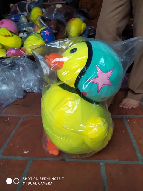 Vịt đội mũ bảo hiểm 60cm