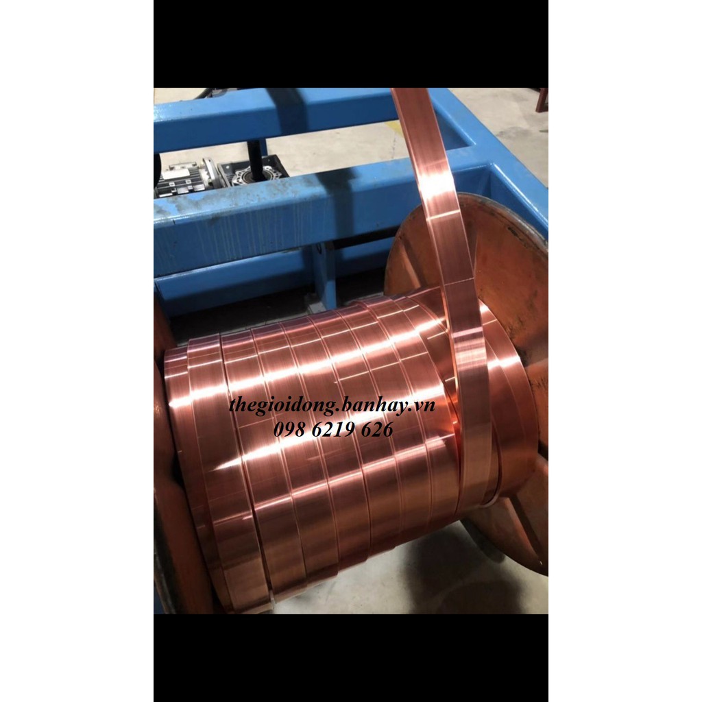 Băng đồng tiếp địa 25x3 dài 1m