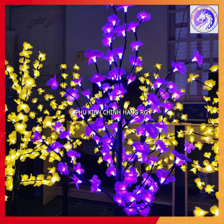 Cây Mai Cây Đào Trang Trí Nhà Cửa Trưng Ngày Lễ Tết Cực Lung Linh