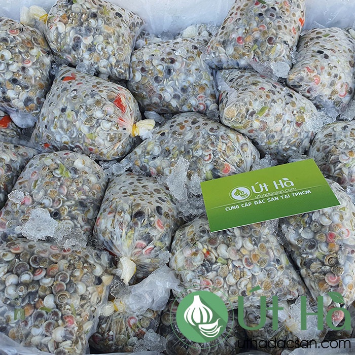ỐC RUỐC - ỐC GẠO Quảng Ngãi Bịch Khoảng 350Gr - Út Hà Đặc Sản