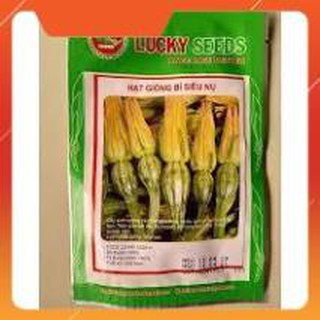 HẠT GIỐNG BÍ SIÊU NỤ GÓI 10 GRAM