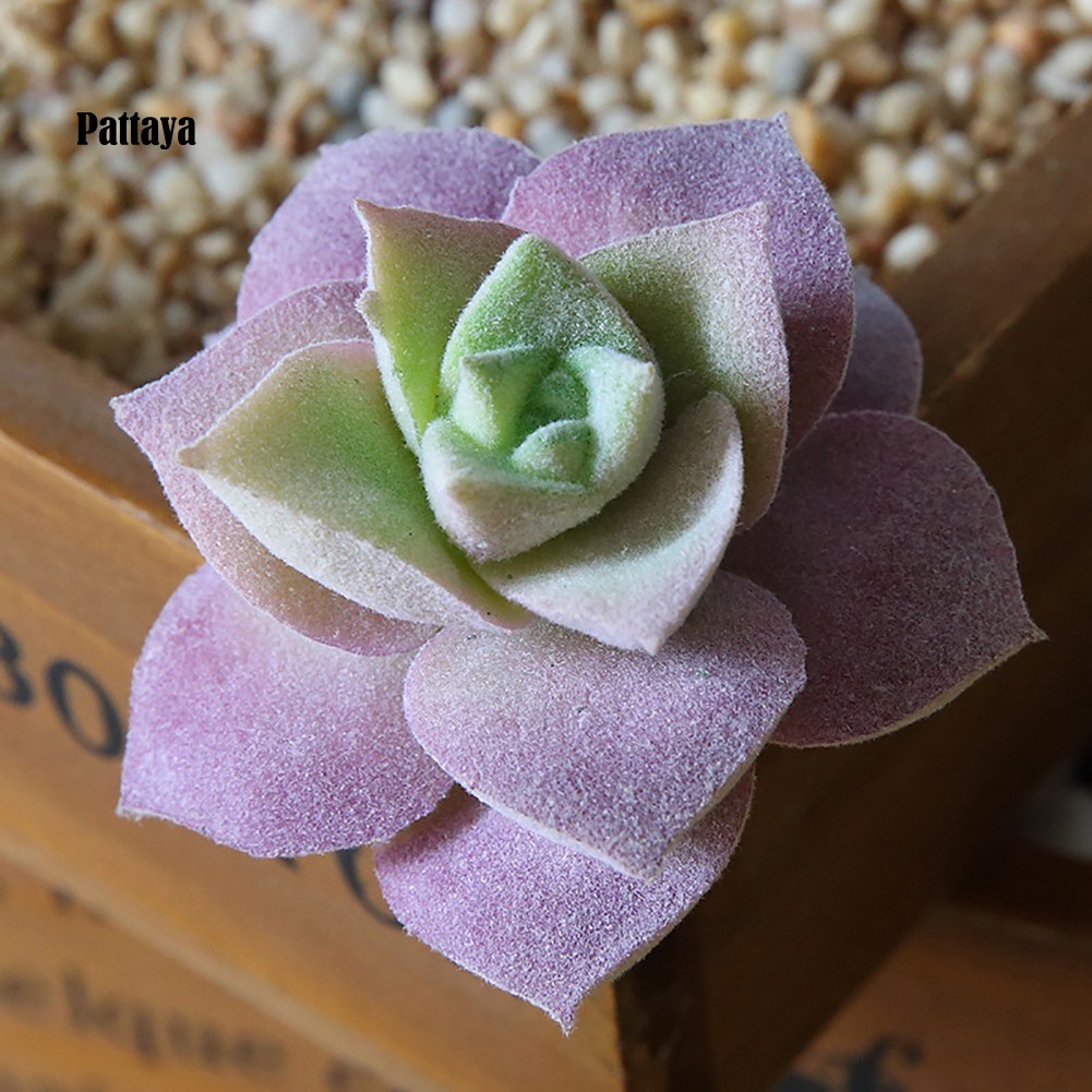 1 Cây Cảnh Giả Bằng Nhựa Cho Trang Trí