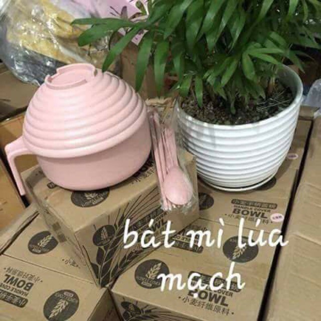 BỘ BÁT ÚP MỲ LÚA MẠCH AN TOÀN TIỆN LỢI