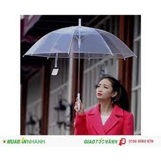 Sỉ 10 Ô trong suốt màu trắng, dù trong suốt