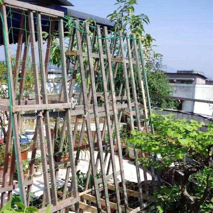 Lưới giàn leo, lưới giàn cây leo chất liệu sợi cước HDPE nhiều kích thước- NNTM