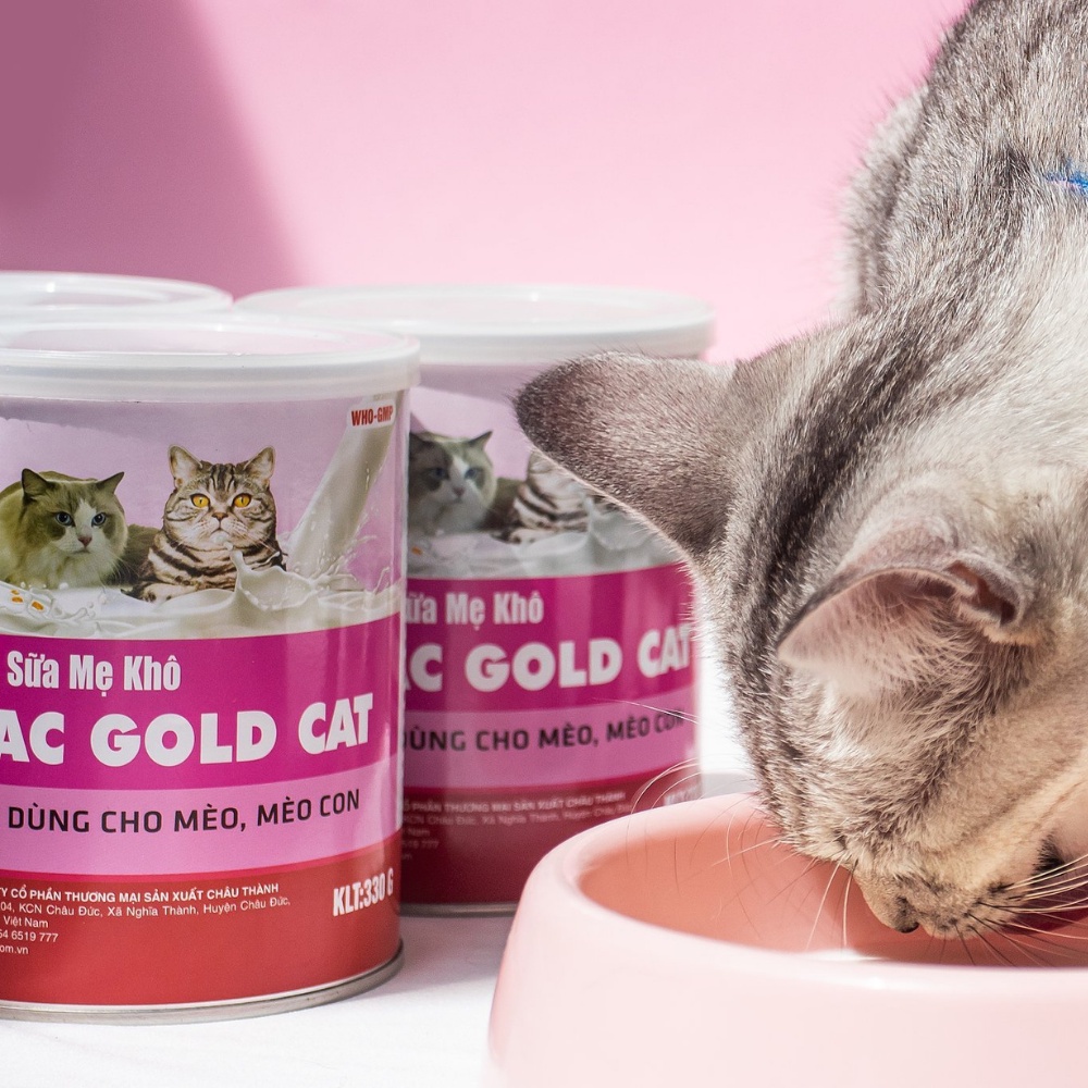 Sữa Mẹ Khô Cho Mèo Msbilac Gold Cat 330gr (PET FOOD)