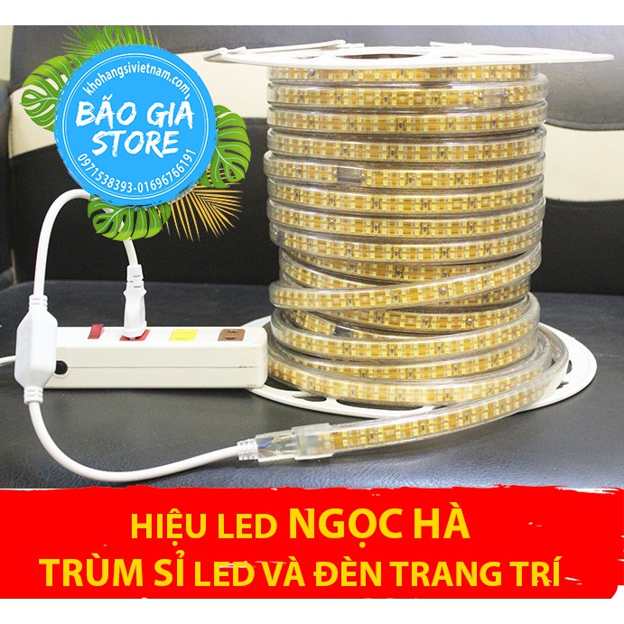 Đèn Led trang trí - dây đôi siêu sáng 2835