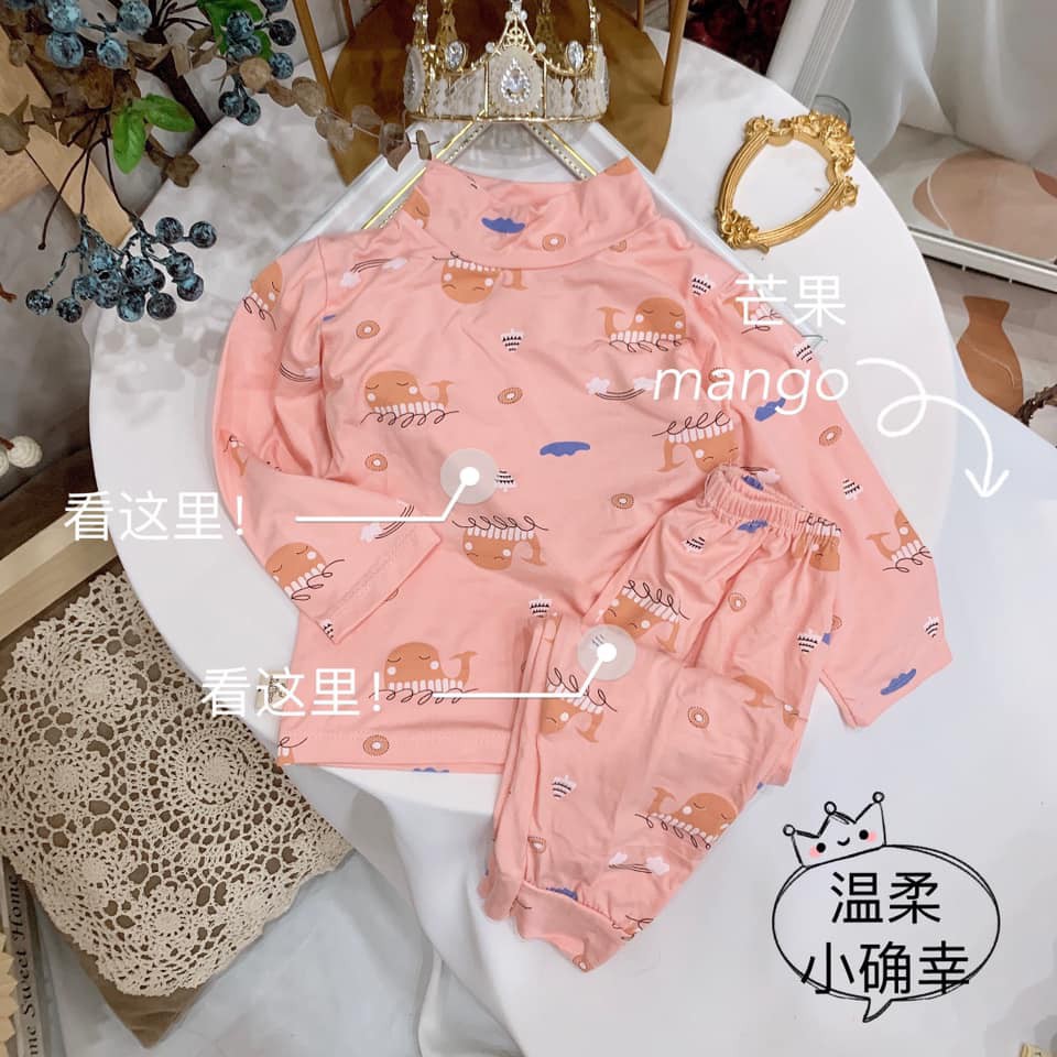 Bộ quần áo dài tay thun lạnh cho bé từ 6-18kg