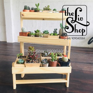 kệ trưng bày gỗ thông