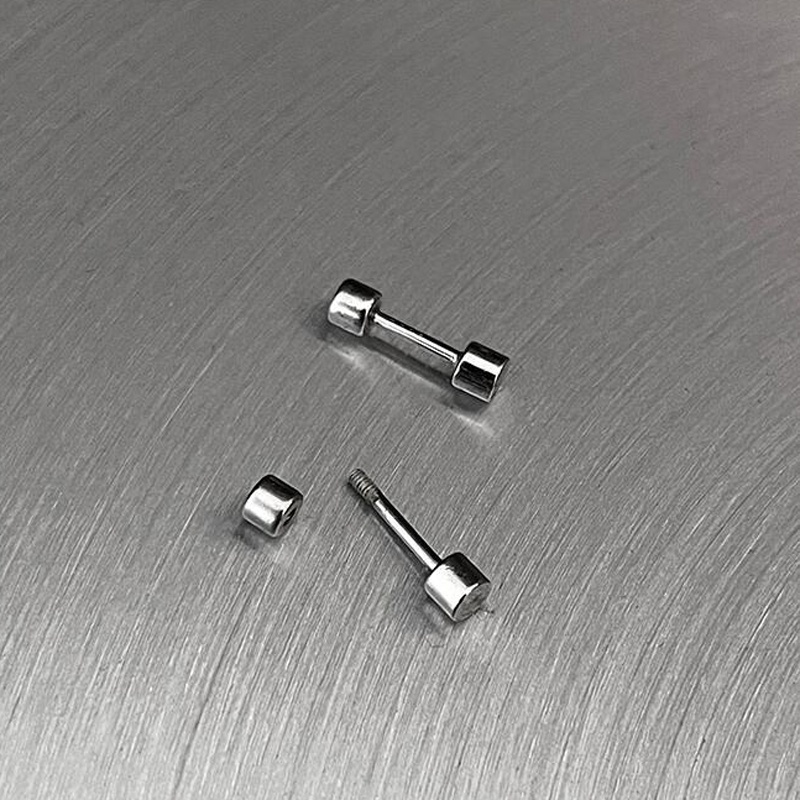 1 Cặp Khuyên Tai Thanh Tạ Bằng Thép Không Gỉ 316L Chống Dị Ứng Phong Cách Đường Phố Dành Cho Nam Và Nữ