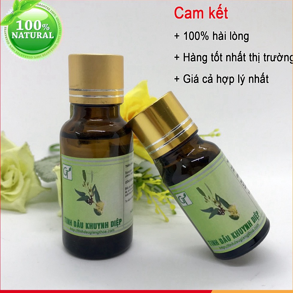 Tinh dầu Khuynh Diệp 100ml - Dầu Khuynh Diệp Nguyên Chất Cho Bé Giảm Ho, Sổ Mũi, Nghẹt Mũi