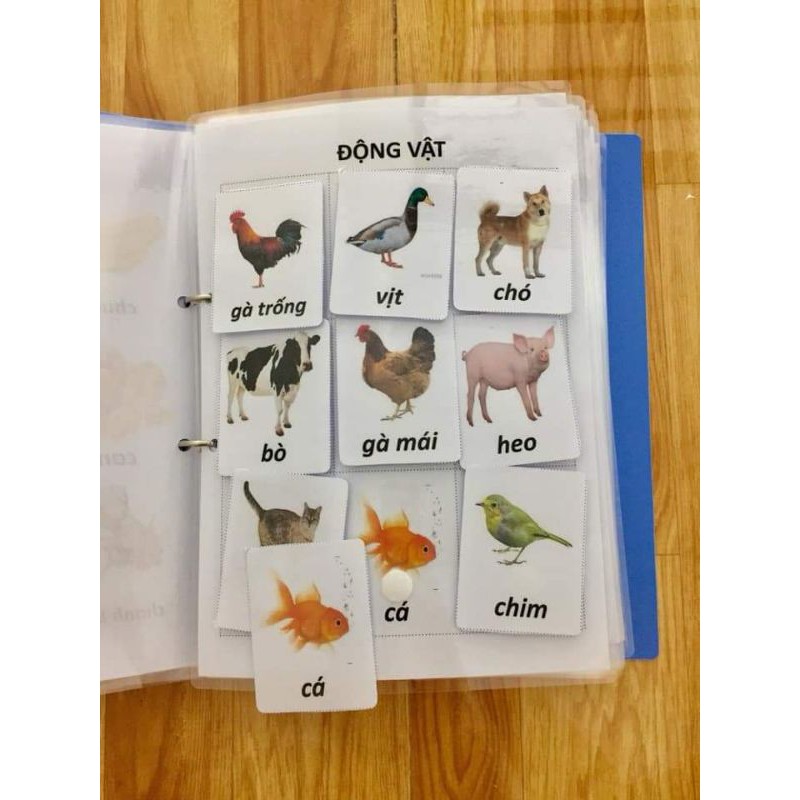 Từ Vựng Đầu Tiên Cho Bé