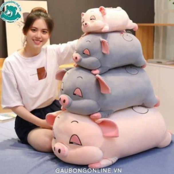 LỢN BÔNG ĐÁNG YÊU