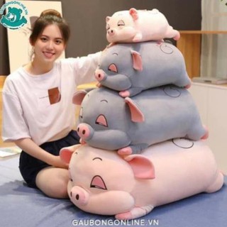 Lợn bông đáng yêu