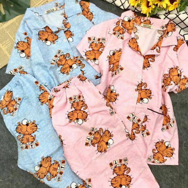 Combo cộc dài + đùi
