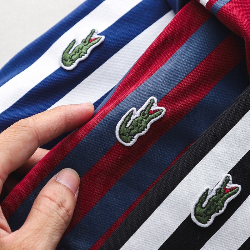 Áo thun lacoste