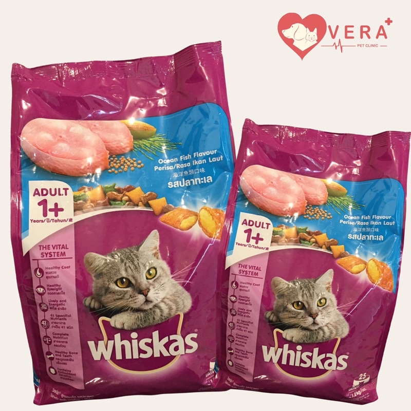 Balo Hình Cá Biển Cho Người Lớn 1.2Kg | Cho Mèo Con | Bát Ăn Cho Mèo Cao Cấp | Dụng Cụ Cho Mèo Ăn Chất Lượng Cao
