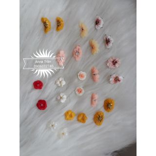 Set hoa bột 205k