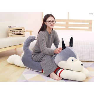 (od 7-10d) chó bông husky or alaska từ 1,2m