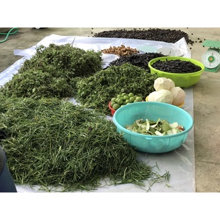 Dầu gội thảo dược Mira