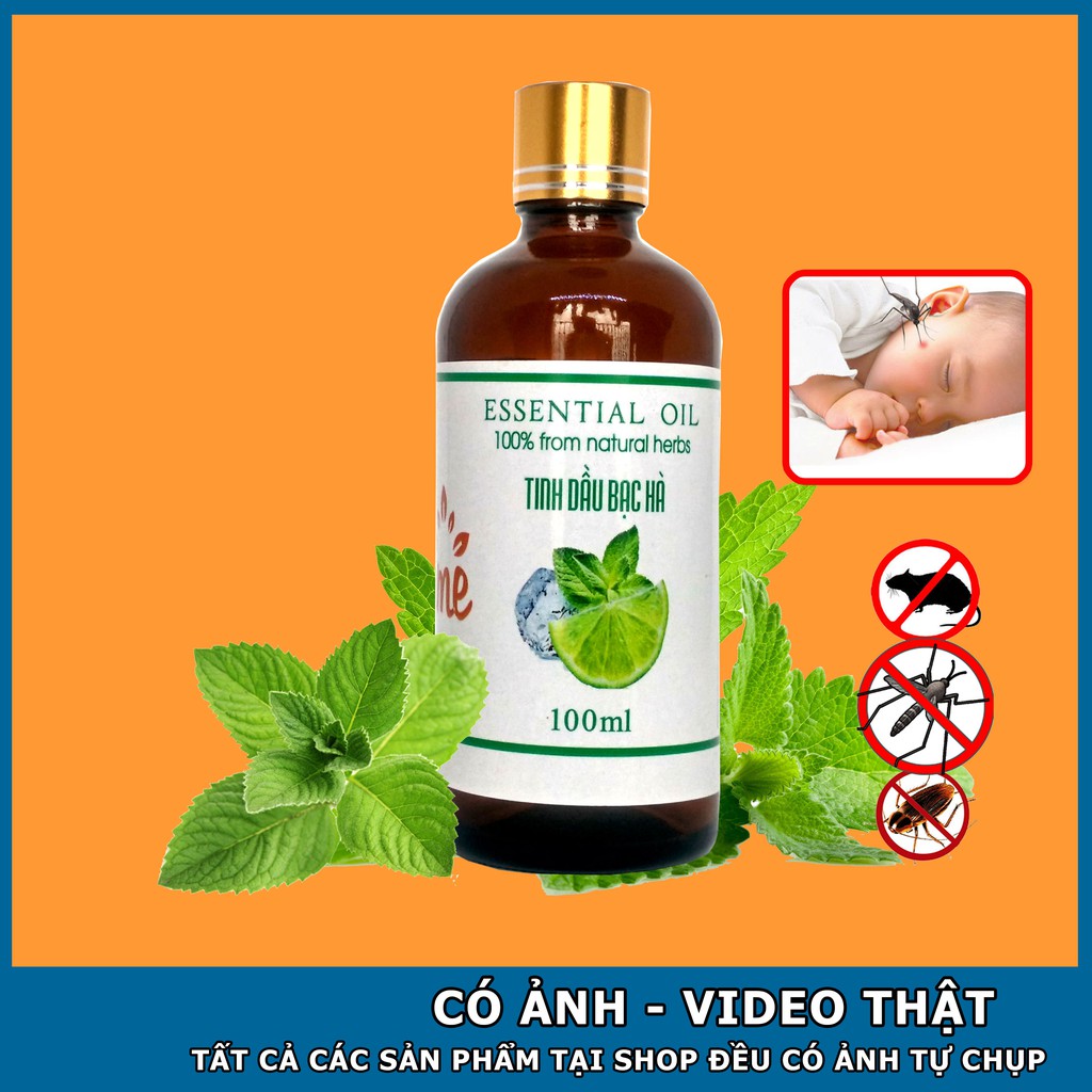 Tinh dầu bạc hà Canifo 100ml nguyên chất, thanh mát làm thơm nhà, Bạc hà đuổi chuột hiệu quả, tinh dầu treo xe oto
