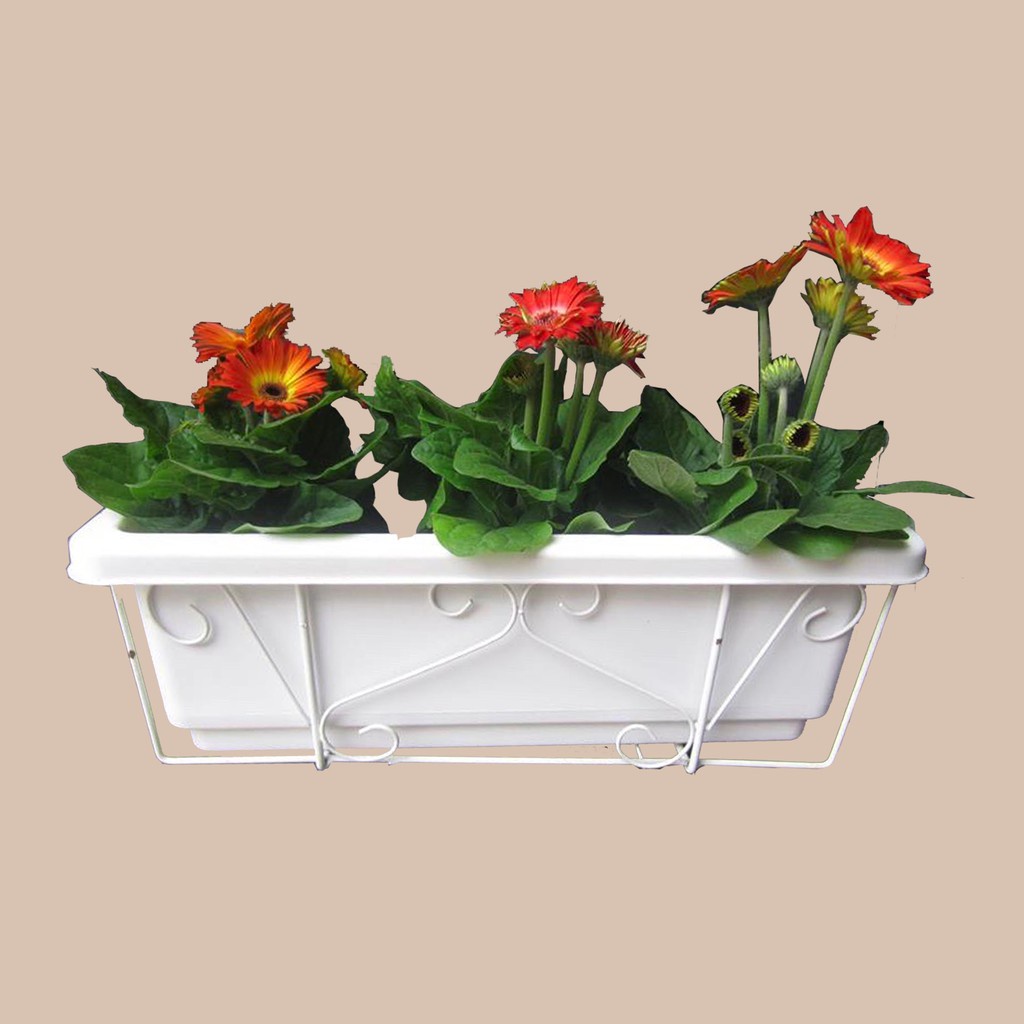 Chậu kèm móc treo 48cm nhiều màu - SHIP HỎA TỐC