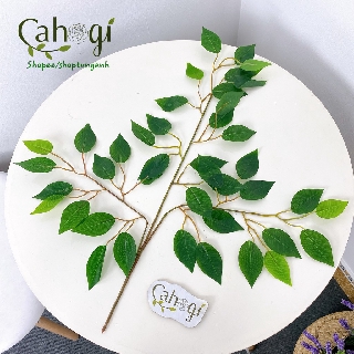 Cành Si Xanh Nhựa Trang Trí(mặt lá bằng nhựa)