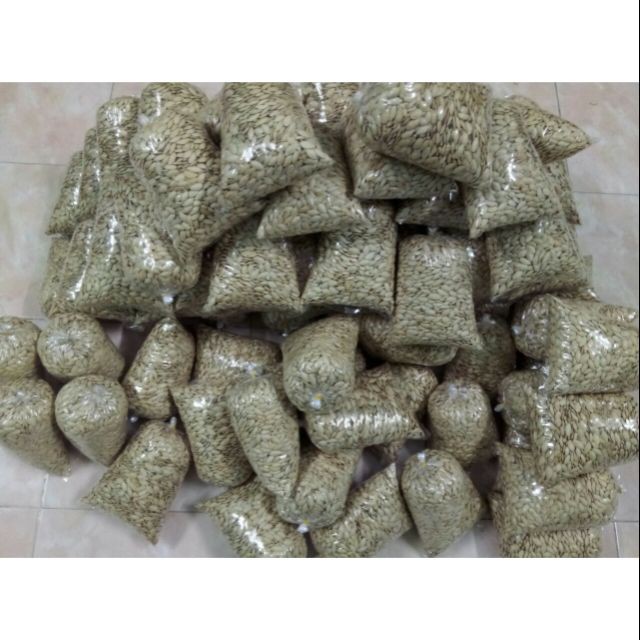 Hạt bí rang sẵn TMN