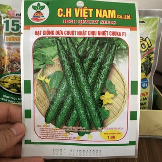 Hạt giống dưa chuột Nhật chịu nhiệt Choka F1 gói 1g