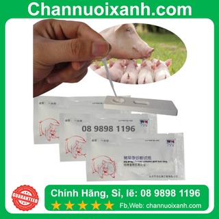 Que thử thai heo Lợn Chính hãng chính xác > 90%, Que thử thai cho Heo Lợn Hiệu quả tốt