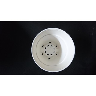 Chậu tròn 7x7 nhiều màu (Set 100 cái).