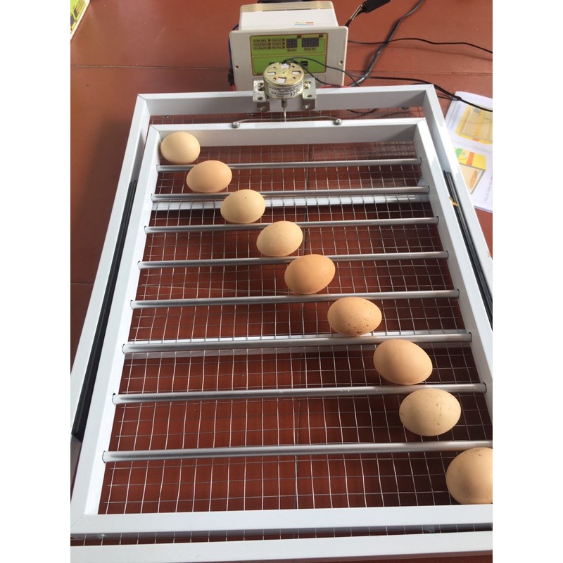 Bộ Máy Ấp Trứng Cabon Trường Sa VN- 2023 + Khay đảo lăn 60 trứng cao cấp