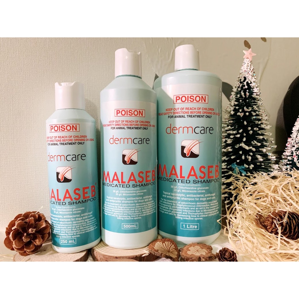 Sữa tắm nấm và viêm da cho chó mèo Malaseb