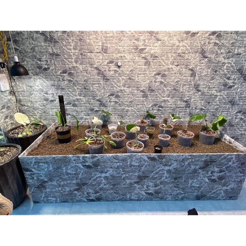 Đèn led cpuffs 200w