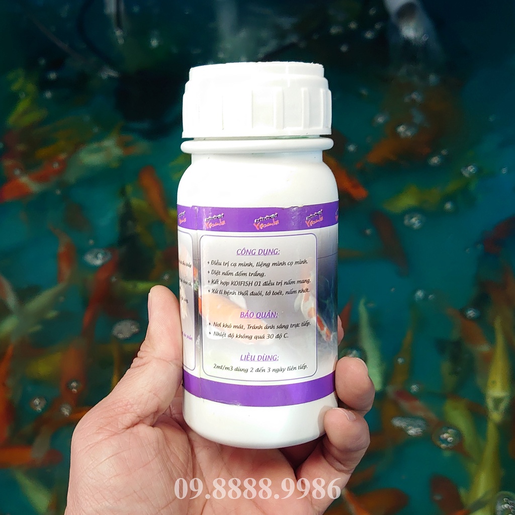 Thuốc đặc trị cạ mình - nấm đốm trắng Cá Koi - KOI FISH 02