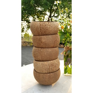 10 CHÉN (HŨ) GÁO DỪA MÀI THÔ