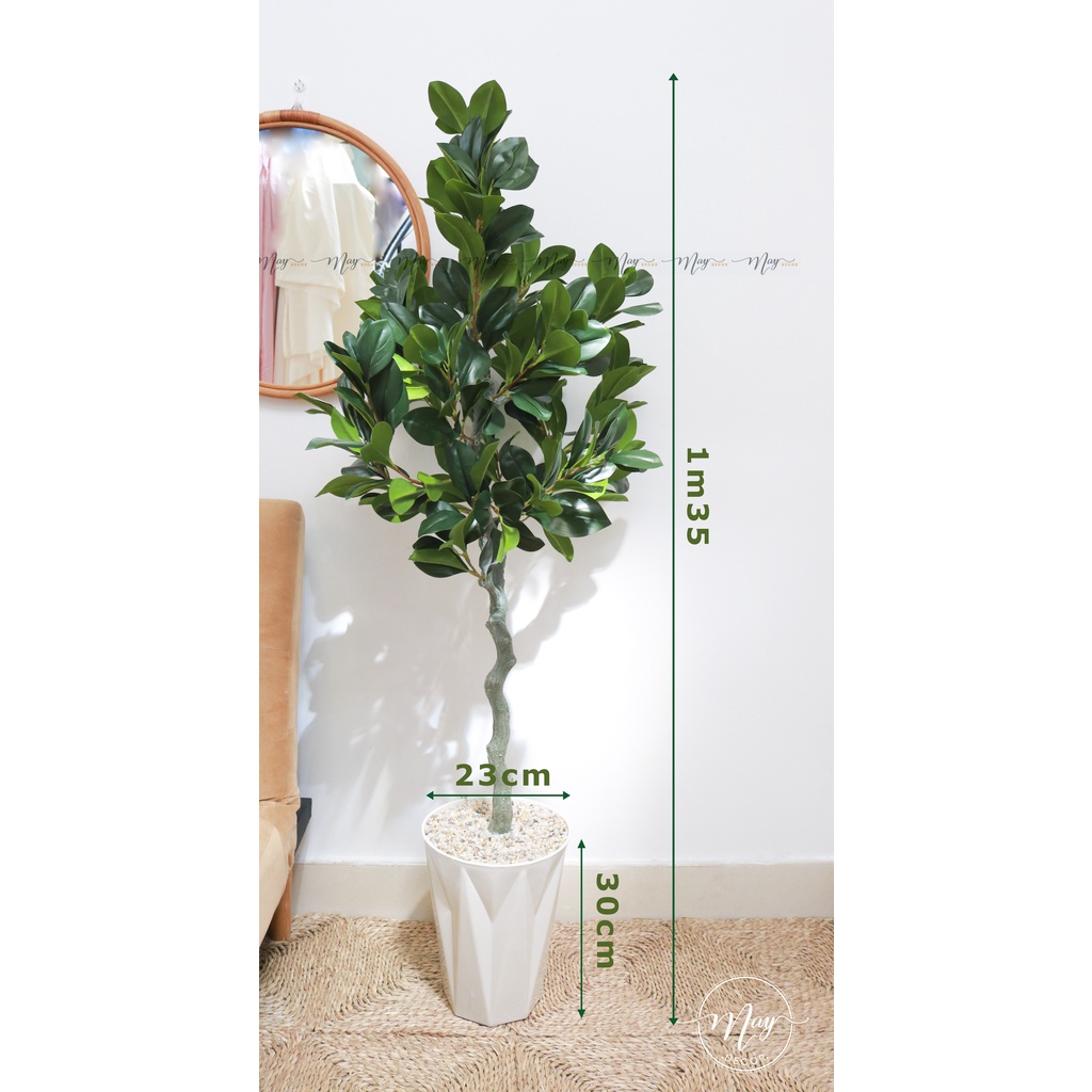 Cây giả cao cấp Oliu, Táo, Thạch Nam