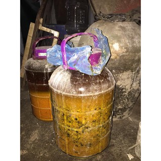 CỐT GỪNG NGHỆ HẠT GẤC