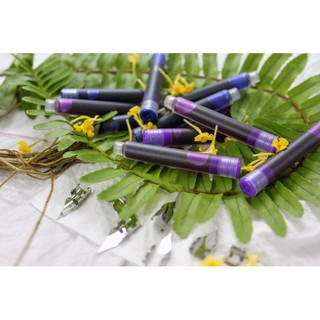 Vỉ Mực Bút Máy Hàn Quốc Big one(Vỉ 2 Ống)