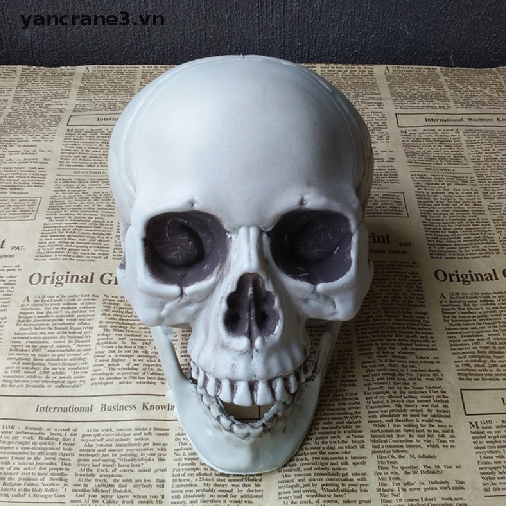 Đồ trang trí Bộ Xương Đầu Lâu Kinh Dị Trang Trí Halloween yancrane3.vn} 3