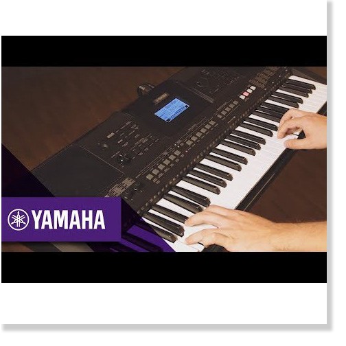 Organ Yamaha PSR-E463 + Chân + Bao Đàn -   -