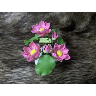 chậu hoa sen đất sét mini L