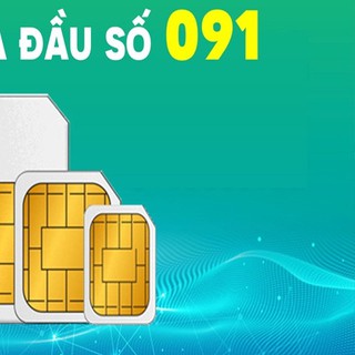 Sim mạng vina đầu 09, đầu cổ