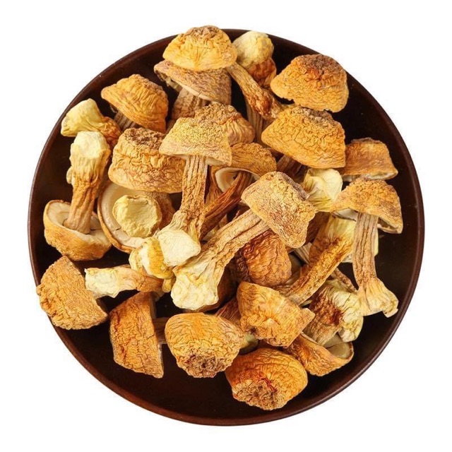 Nấm tùng nhung ( hầm canh, hầm gà, hầm chim câu)